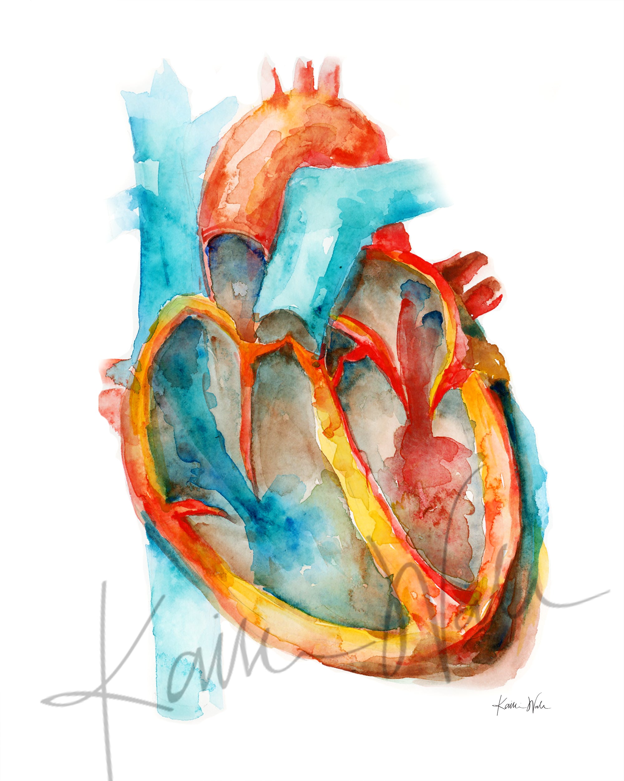 Diastole Systole Heart Watercolor Set of Two DIGITAL DOWNLOAD