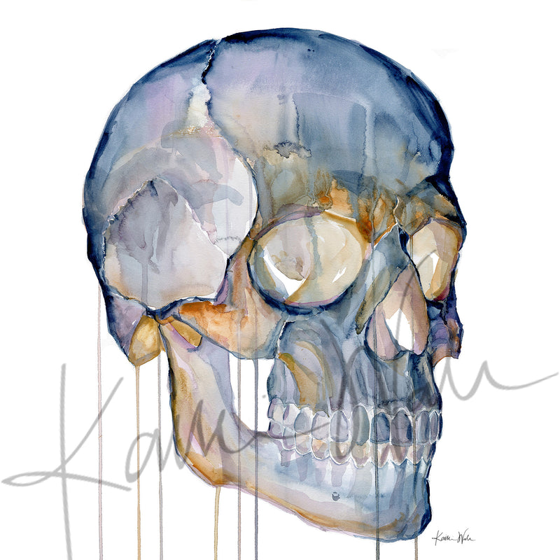Skull Desktop Anatomy Art - Acrylic Framed Mini Print - Lyon Road Art