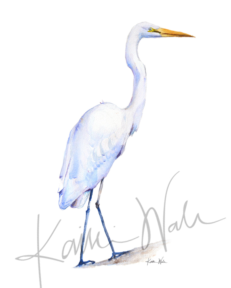 Egret Watercolor Print - Lyon Road Art