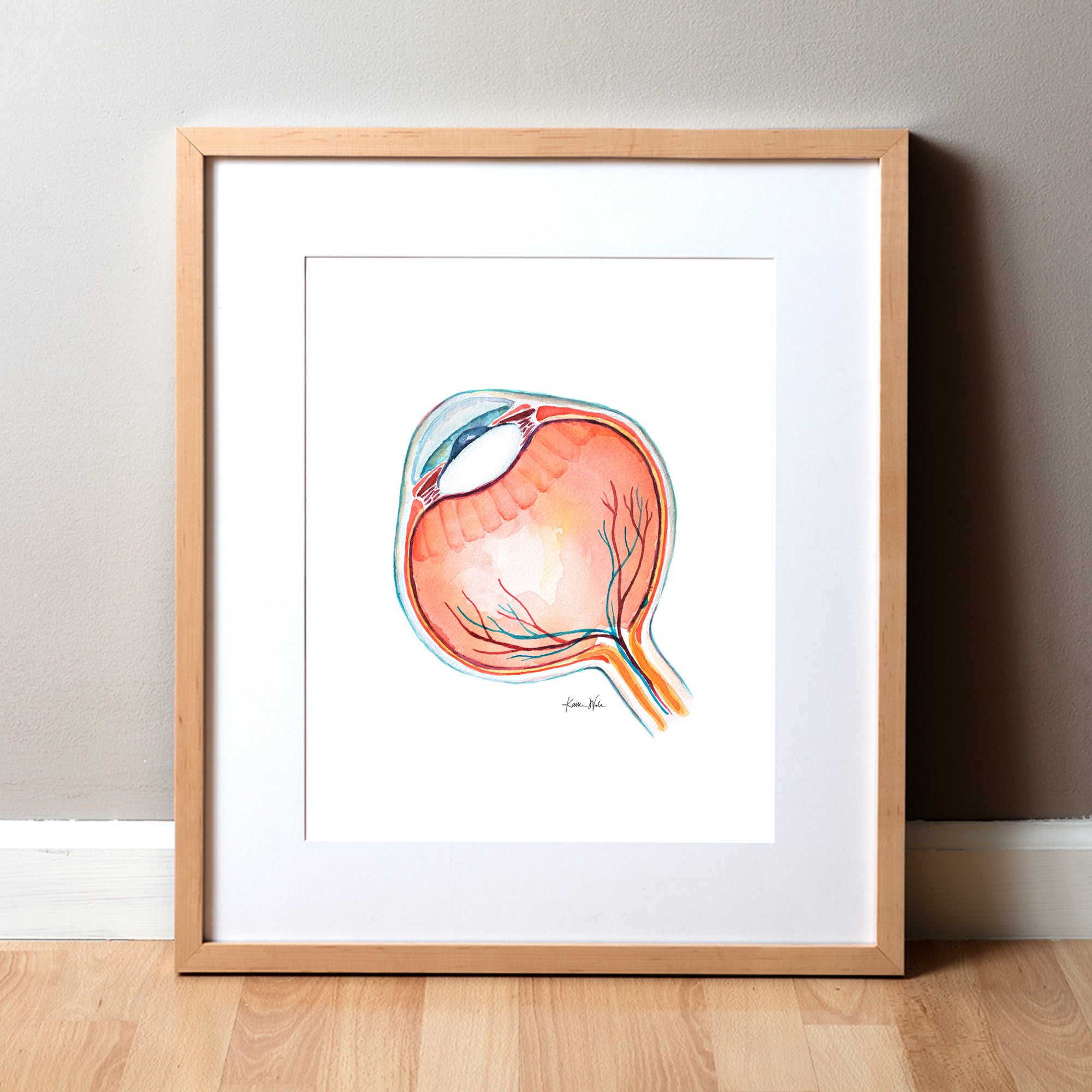 Anatomical Eye Cross Section Watercolor Print - Lyon Road Art