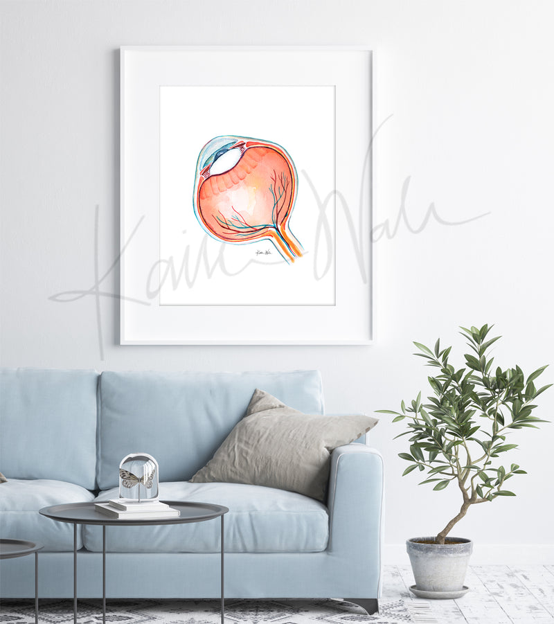 Anatomical Eye Cross Section Watercolor Print - Lyon Road Art