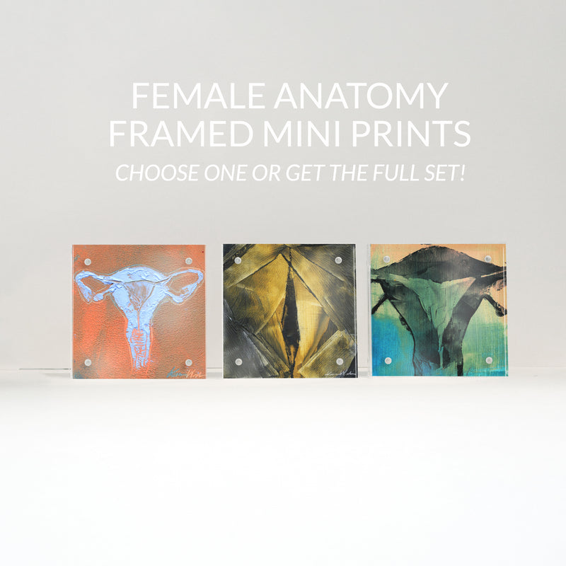 Female Anatomy Desktop Art - Acrylic Framed Mini Print - Lyon Road Art