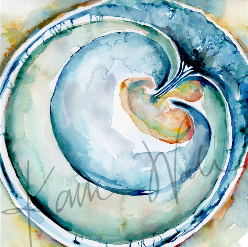 OBGYN Desktop Anatomy Art - Acrylic Framed Mini Print - Lyon Road Art