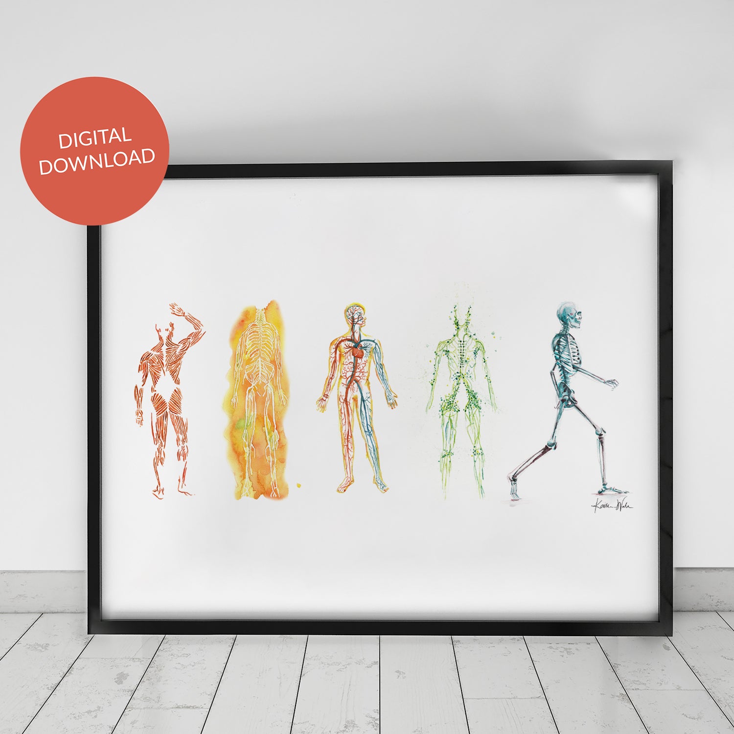 The Five Body Systems Watercolor DIGITAL DOWNLOAD