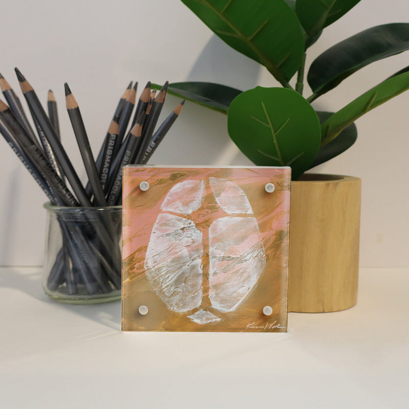 OBGYN Desktop Anatomy Art - Acrylic Framed Mini Print - Lyon Road Art