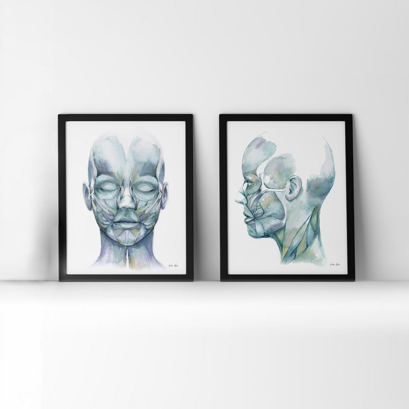 Muscles of Facial Expression Watercolor Print Set - Lyon Road Art