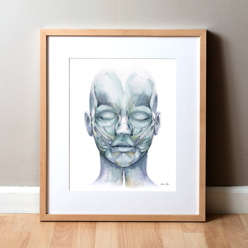 Muscles of Facial Expression Watercolor Print - Lyon Road Art