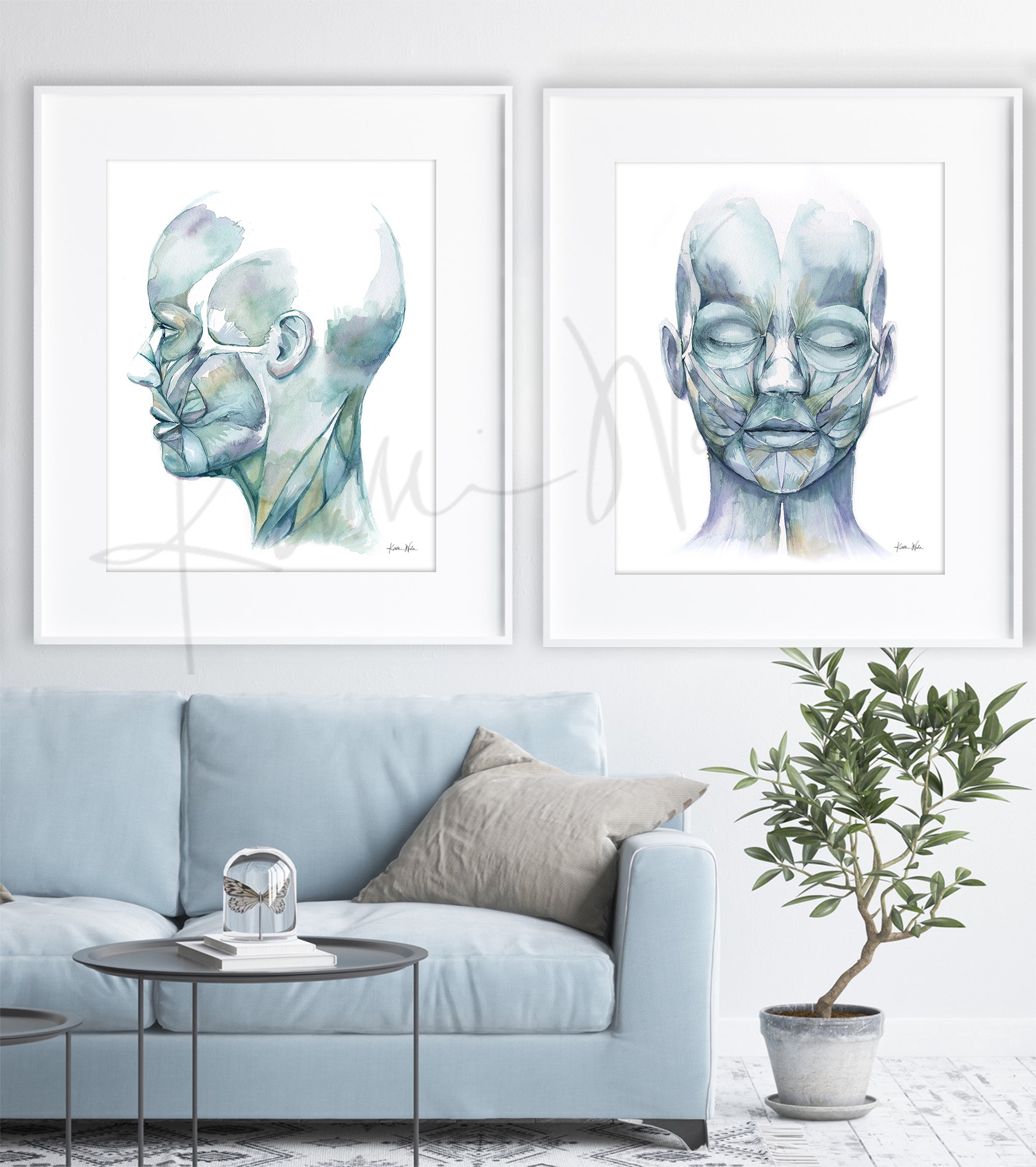 Muscles of Facial Expression Watercolor Print Set - Lyon Road Art