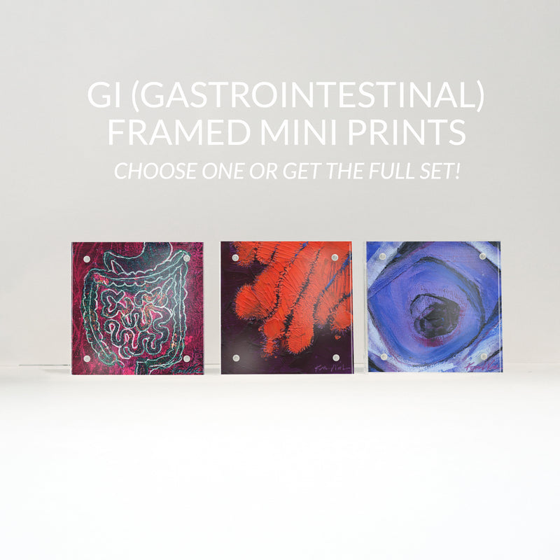 GI (Gastrointestinal) Desktop Anatomy Art - Acrylic Framed Mini Print - Lyon Road Art