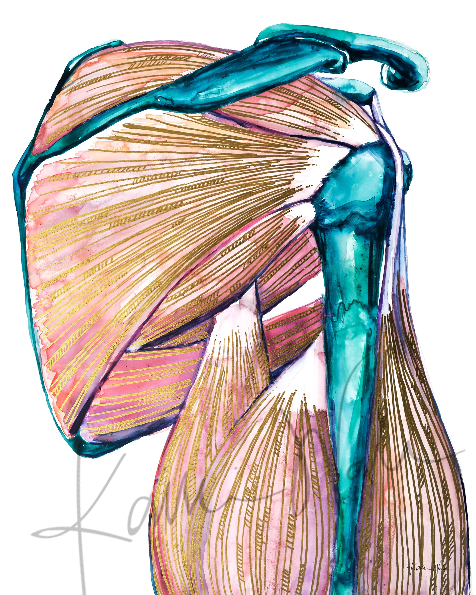 Gilded Shoulder Joint Watercolor Print