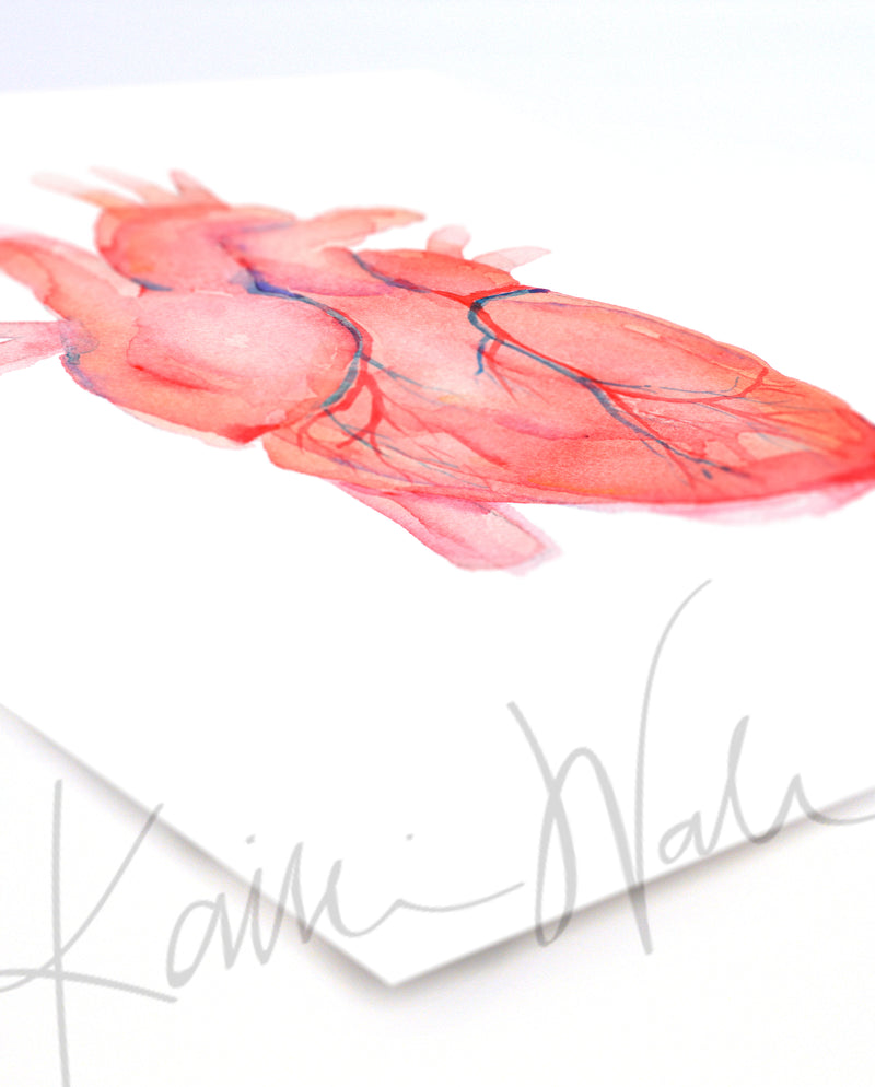 Quality Print of Anatomical Heart