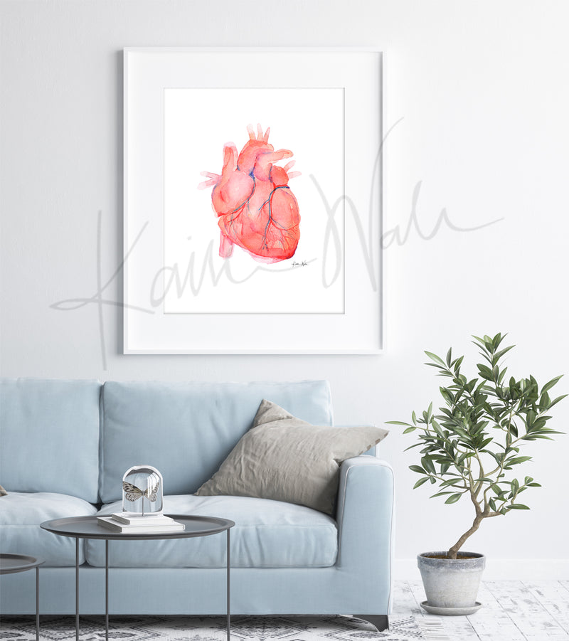 Framed Anatomical Heart print on the wall of Doctor's Office- Cardiovascular Art- Anatomy Art- Clinic Decor