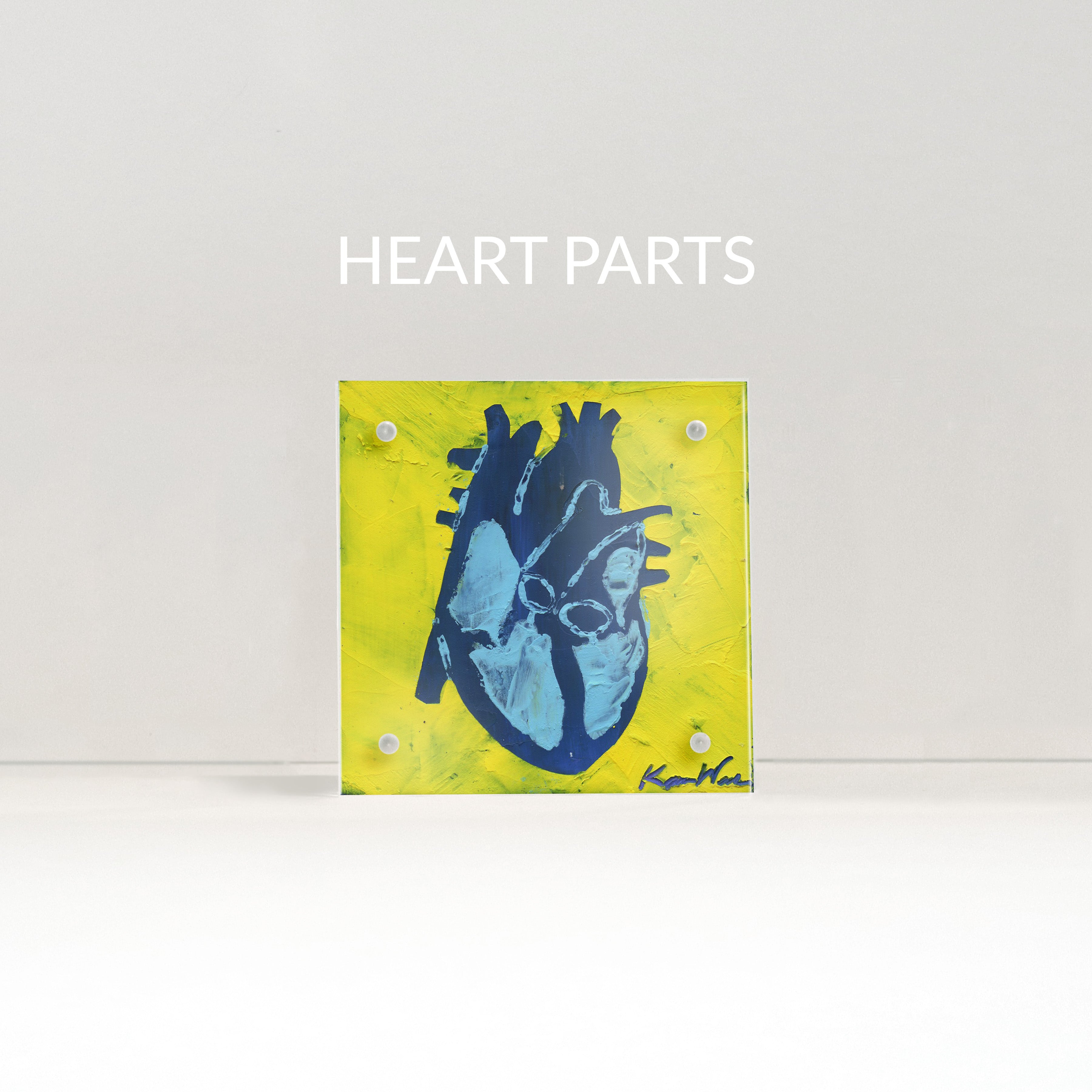 Heart Anatomy Desktop Art - Acrylic Framed Mini Print - Lyon Road Art