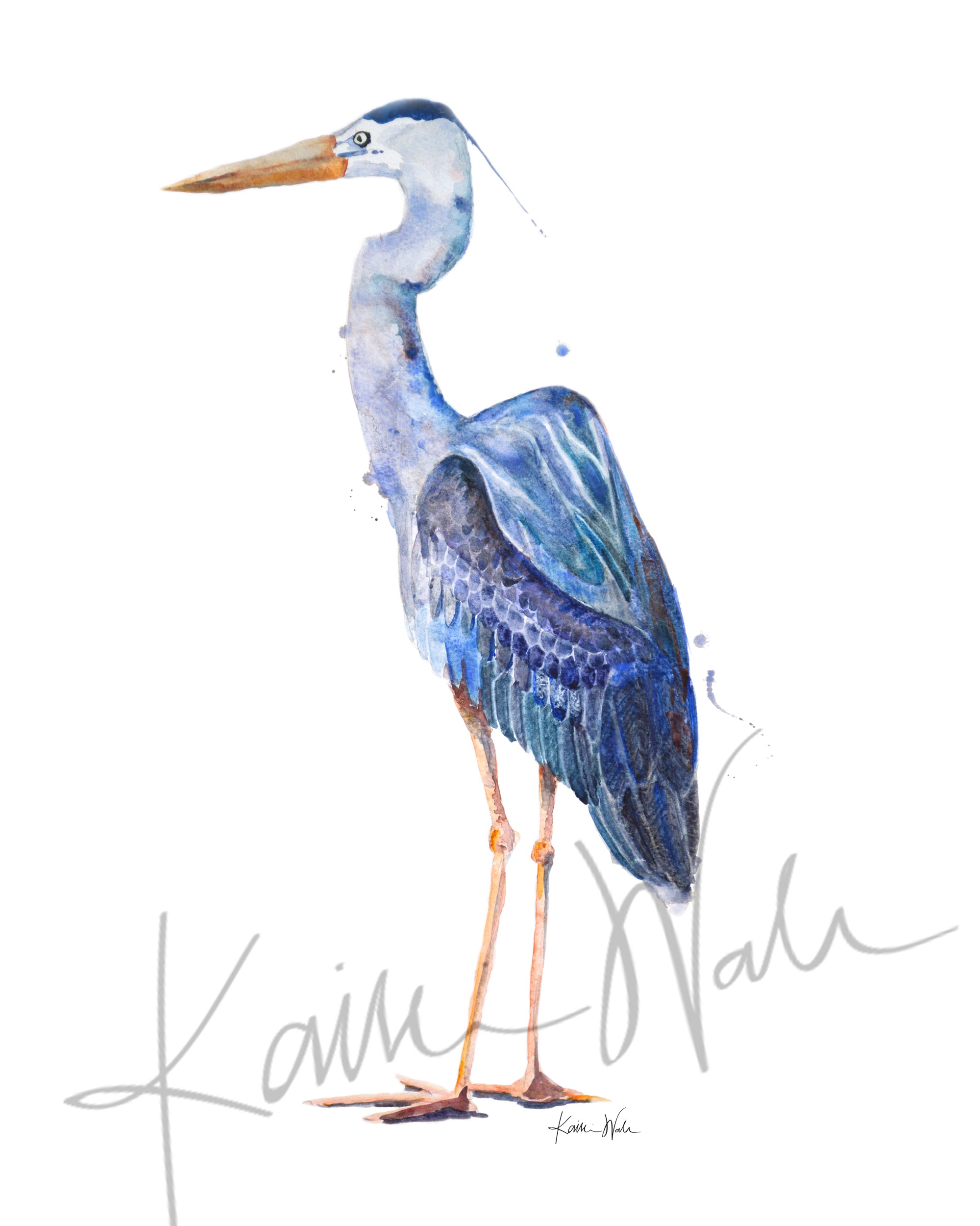 Great Blue Heron Watercolor Print - Lyon Road Art