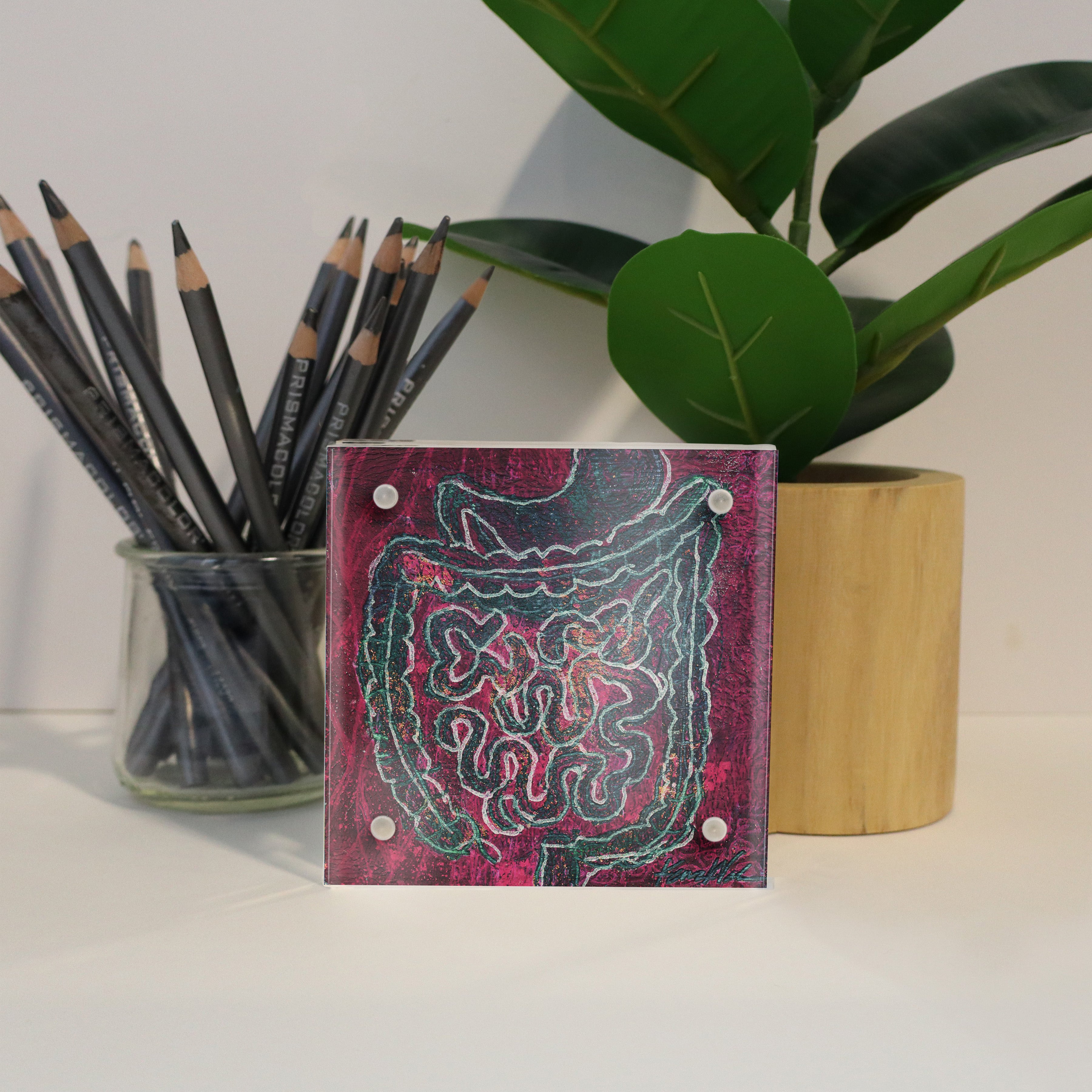 GI (Gastrointestinal) Desktop Anatomy Art - Acrylic Framed Mini Print - Lyon Road Art