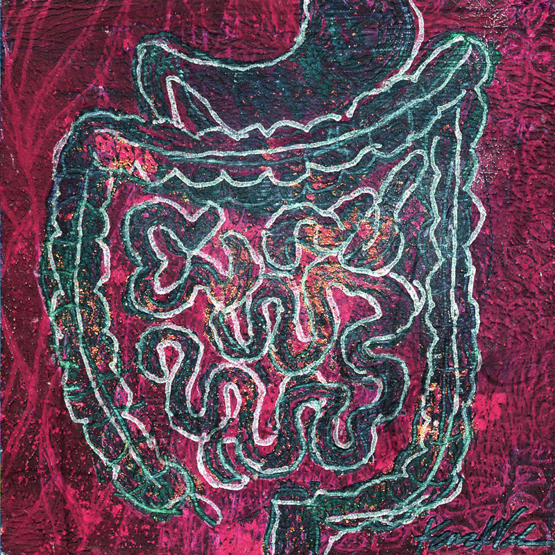 GI (Gastrointestinal) Desktop Anatomy Art - Acrylic Framed Mini Print - Lyon Road Art