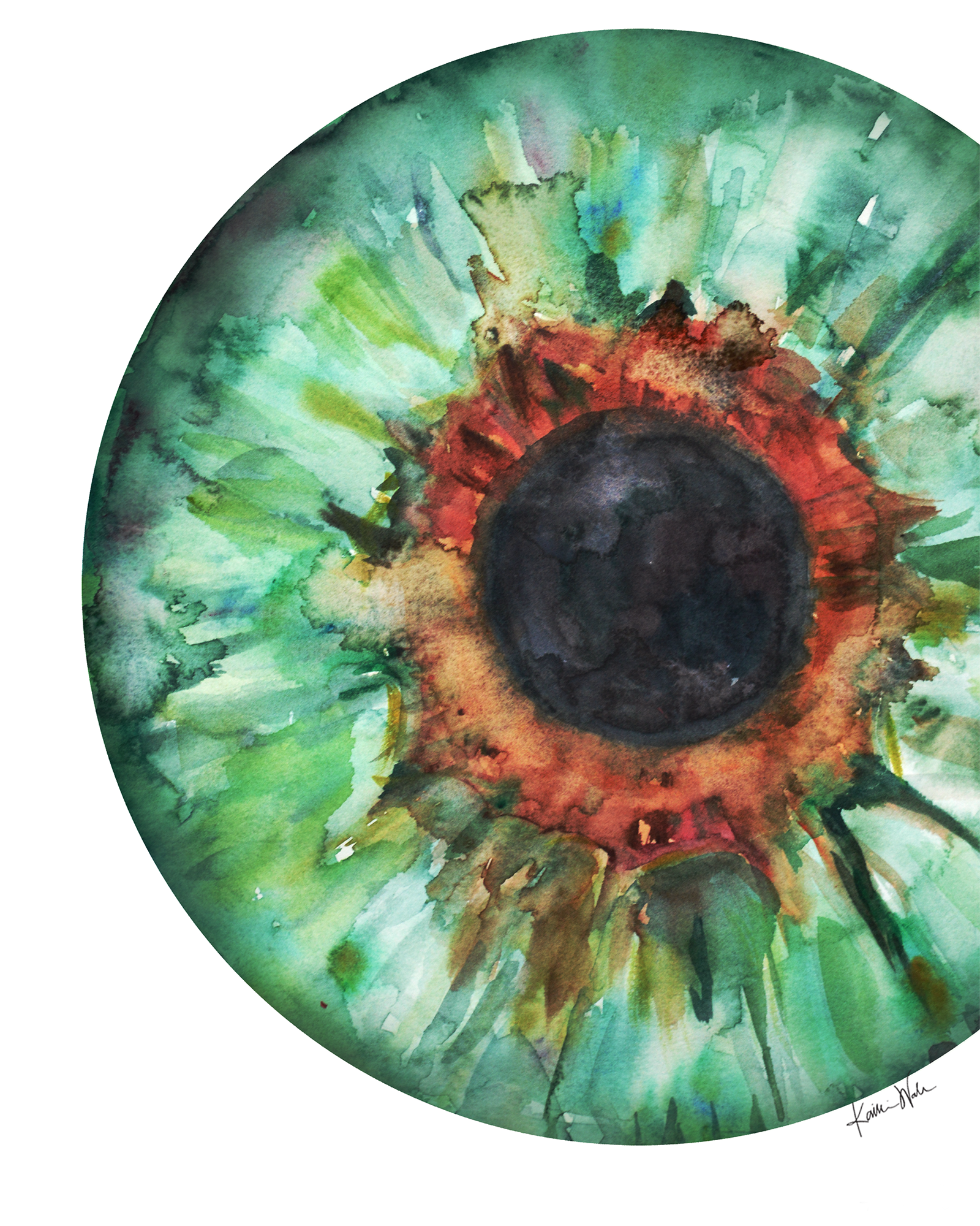 Iris in Green Optometry Watercolor DIGITAL DOWNLOAD