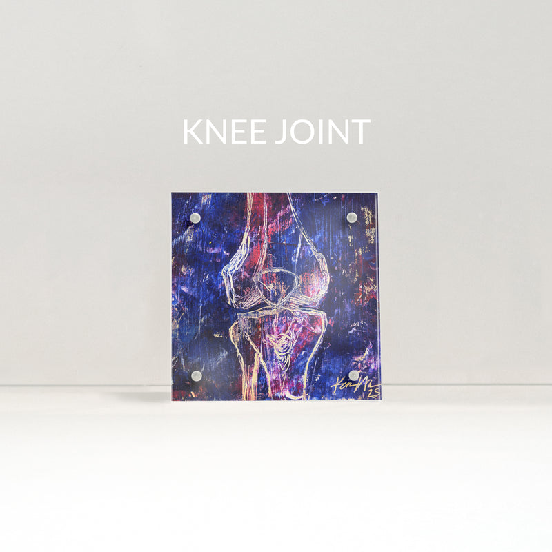 Bones and Joints Desktop Anatomy Art - Acrylic Framed Mini Print - Lyon Road Art