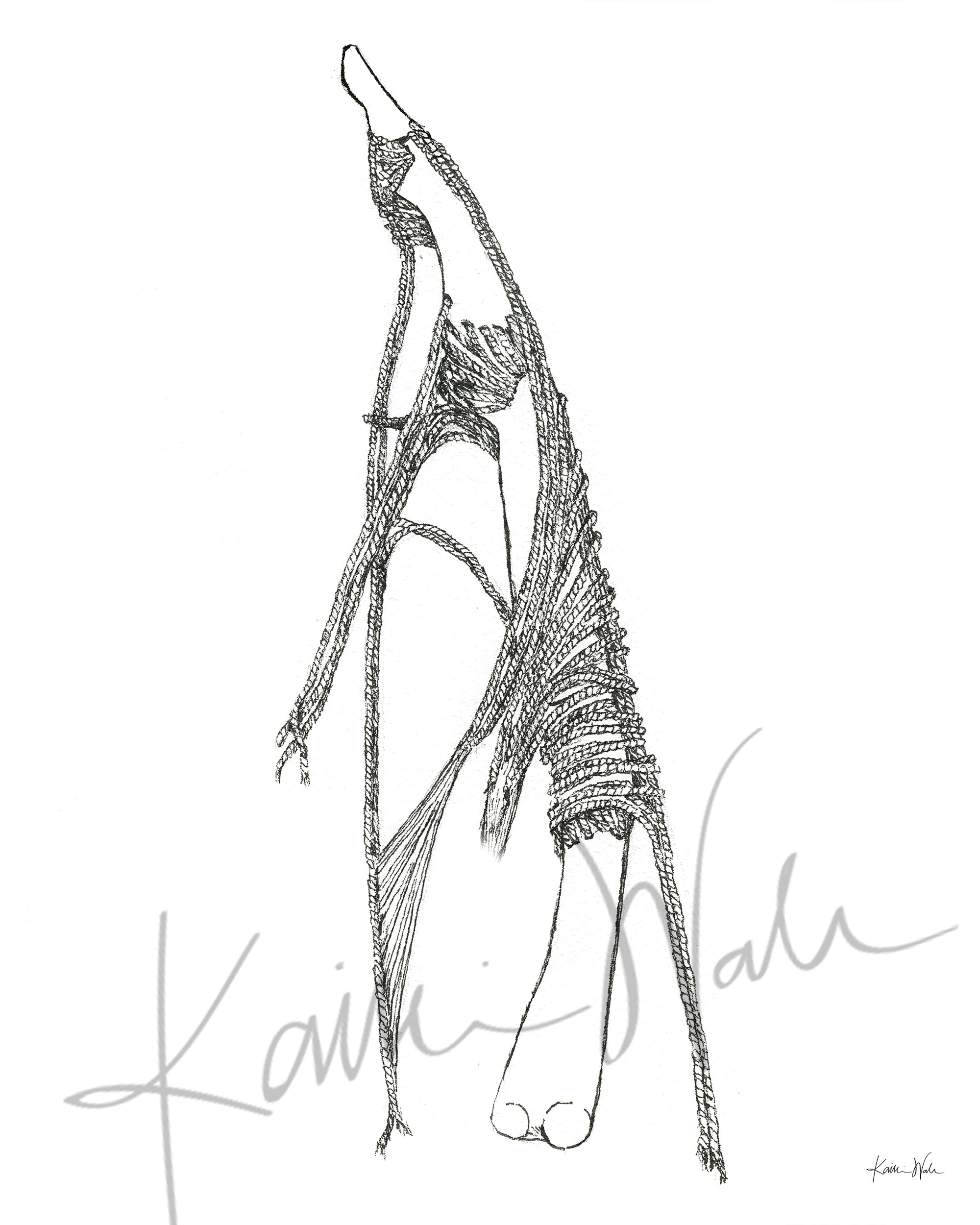 Finger Tendon Ropes Lumbricals Print