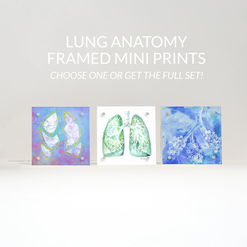 Lung Anatomy Desktop Art - Acrylic Framed Mini Print - Lyon Road Art