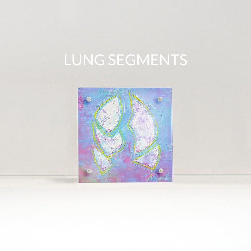 Lung Anatomy Desktop Art - Acrylic Framed Mini Print - Lyon Road Art