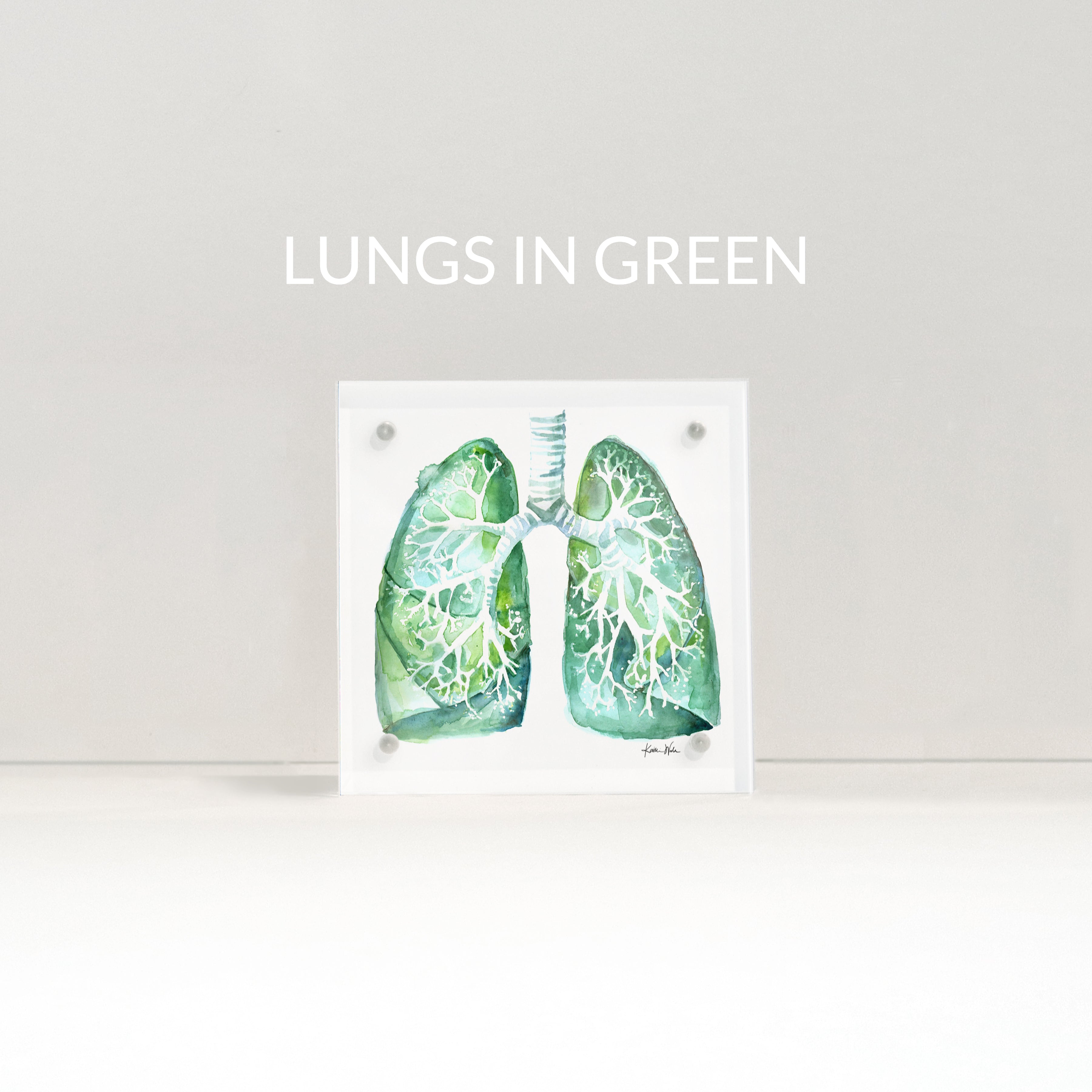 Lung Anatomy Desktop Art - Acrylic Framed Mini Print - Lyon Road Art