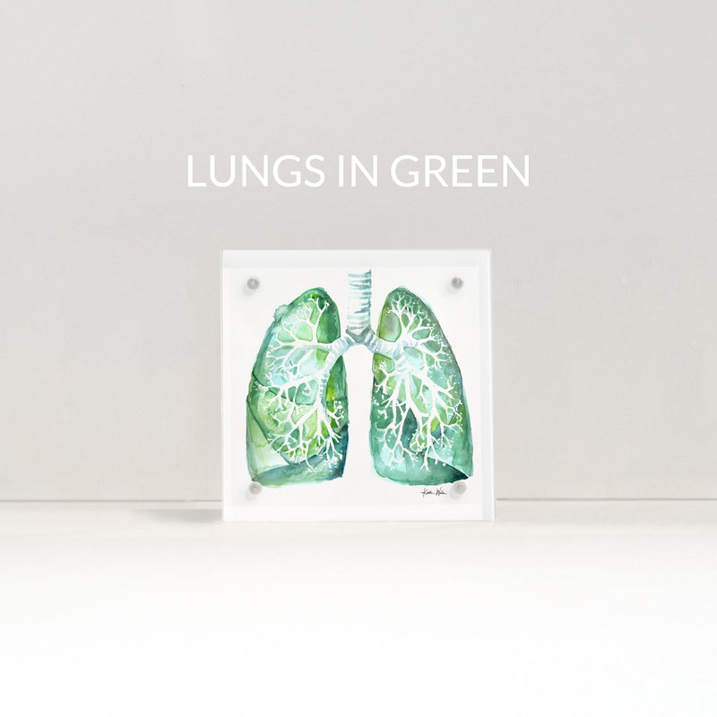 Lung Anatomy Desktop Art - Acrylic Framed Mini Print - Lyon Road Art