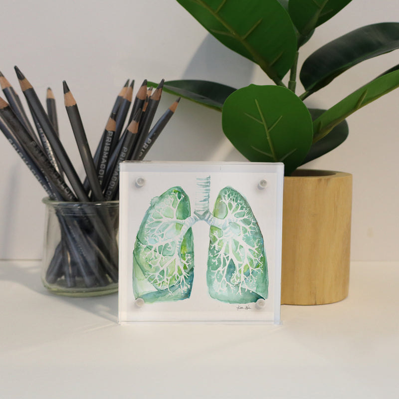 Lung Anatomy Desktop Art - Acrylic Framed Mini Print - Lyon Road Art