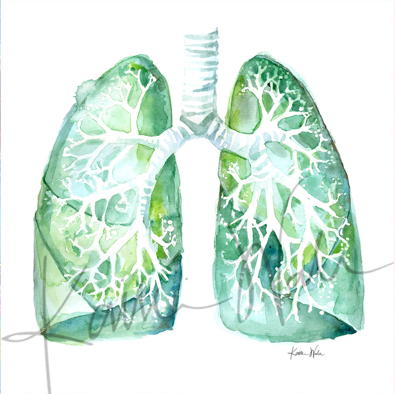 Lung Anatomy Desktop Art - Acrylic Framed Mini Print - Lyon Road Art