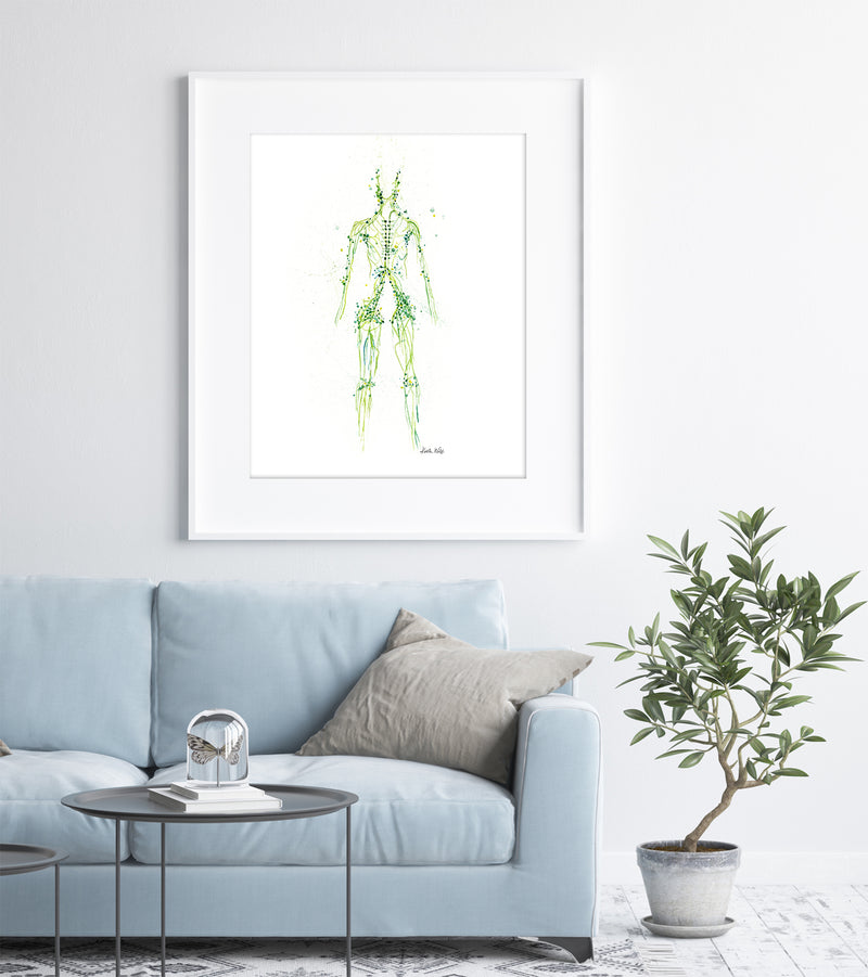 Lymphatic System Watercolor Print - Lyon Road Art