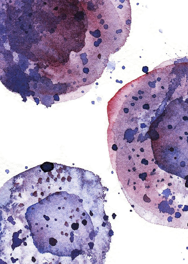 Extra close up of the mast cells to show the watercolor texture