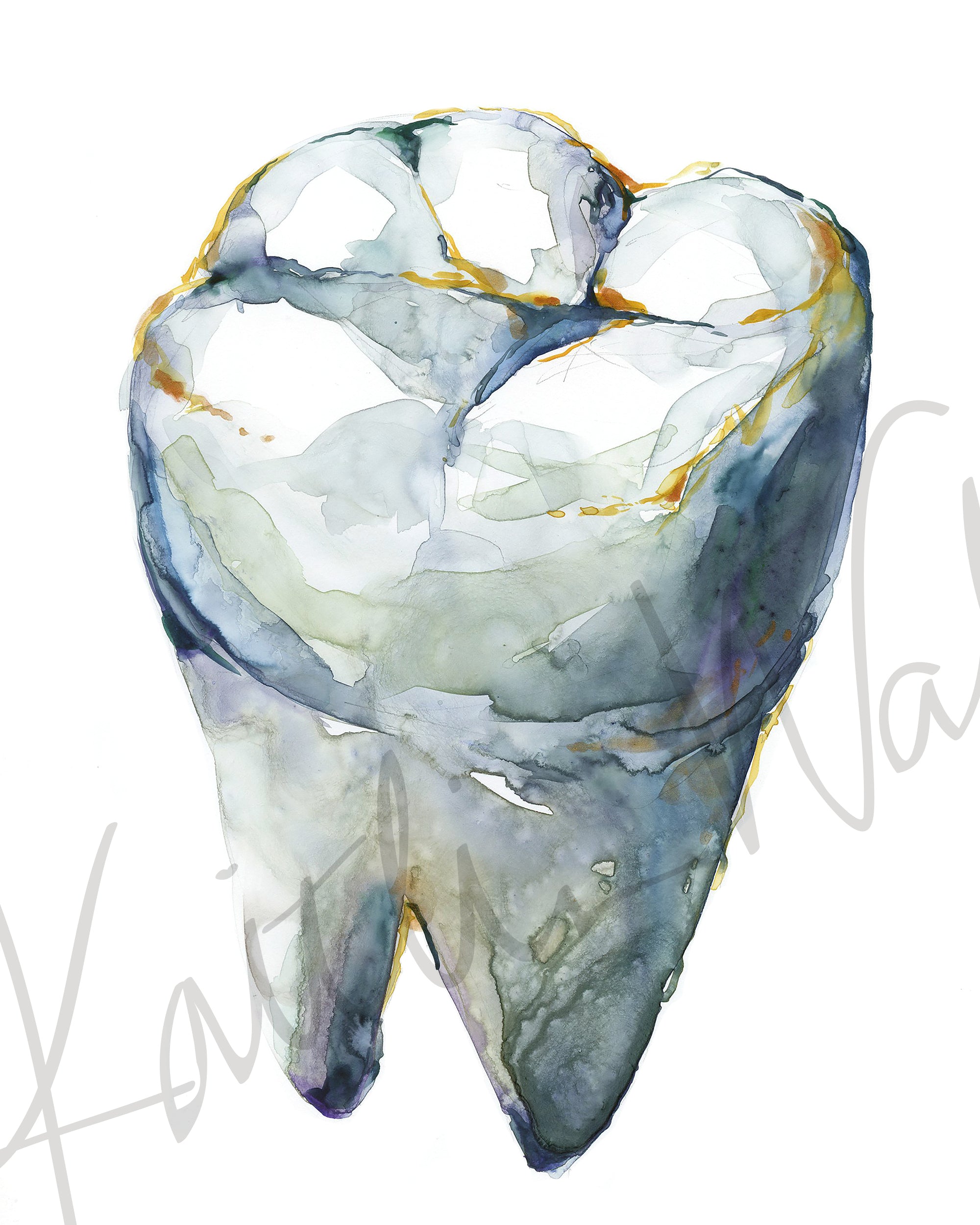 Molar Views Dental Watercolor Print Set