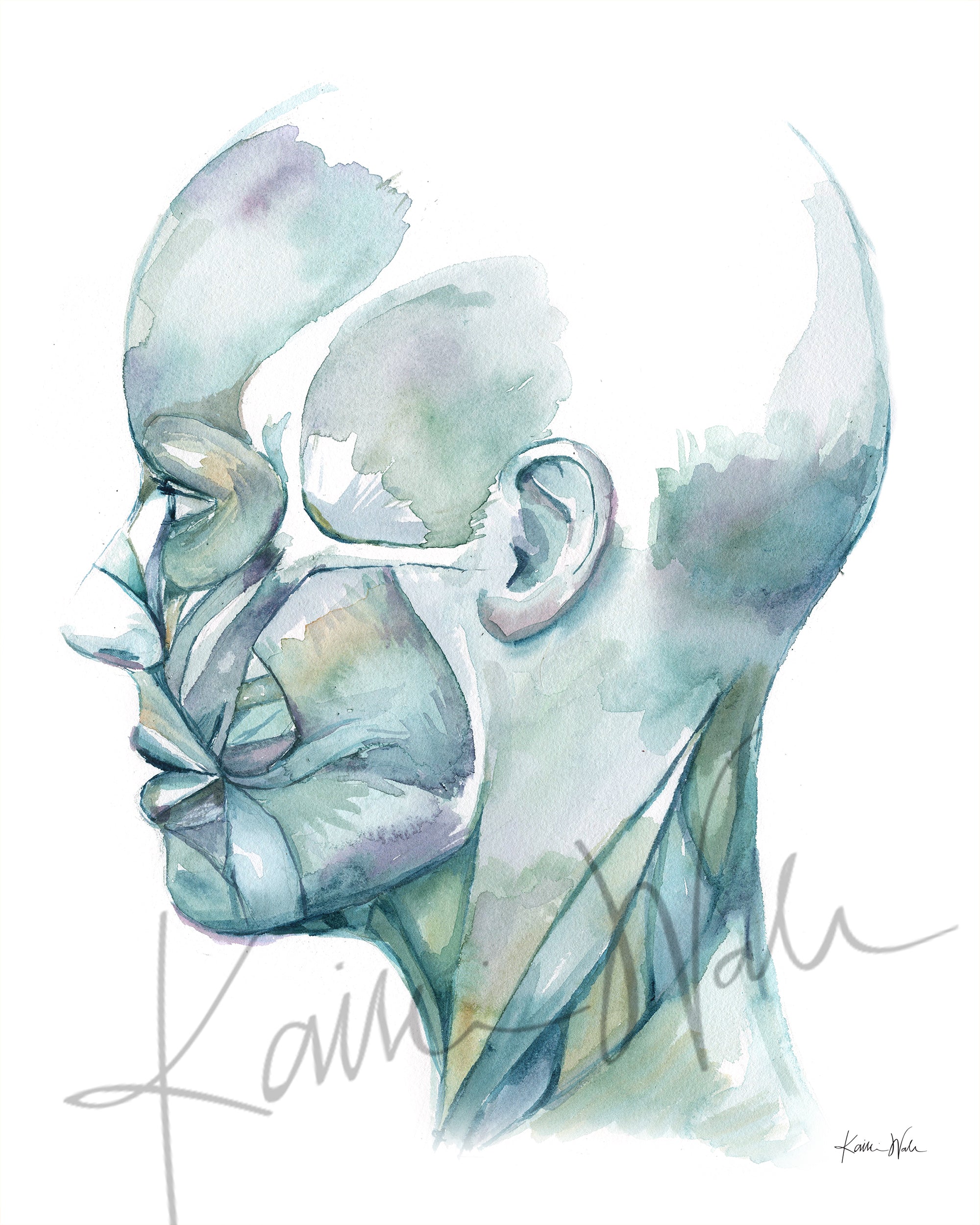 Profile of the Muscles of Facial Expression Watercolor Print - Lyon Road Art
