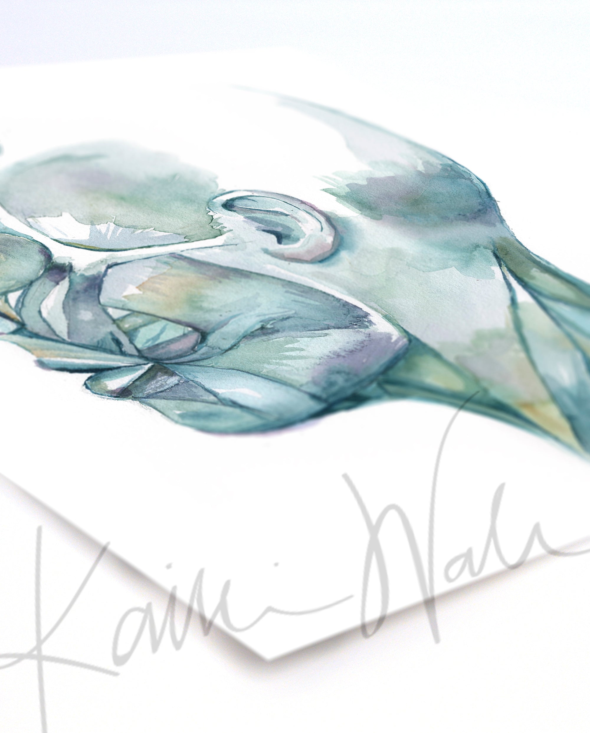 Muscles of Facial Expression Watercolor Print Set - Lyon Road Art