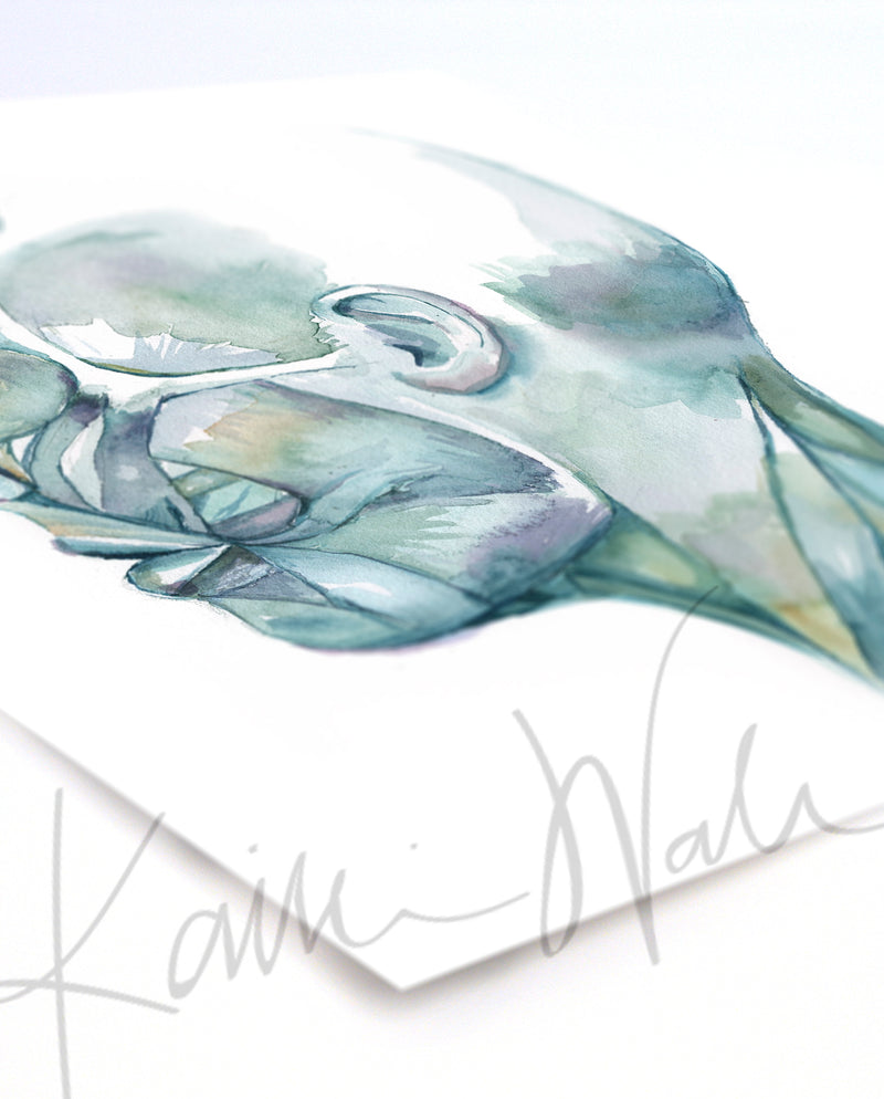 Muscles of Facial Expression Watercolor Print Set - Lyon Road Art