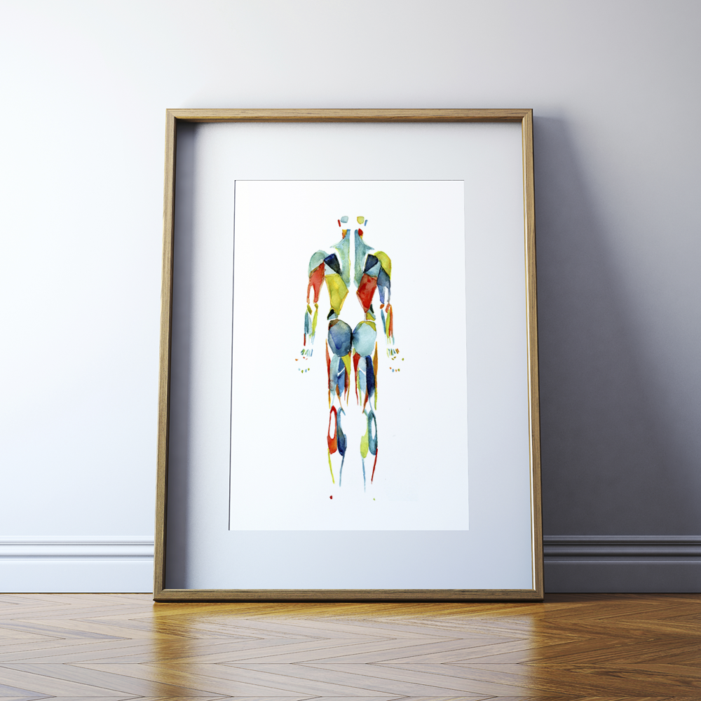 Muscular System in Red, Green and Blue Watercolor  Print - Lyon Road Art