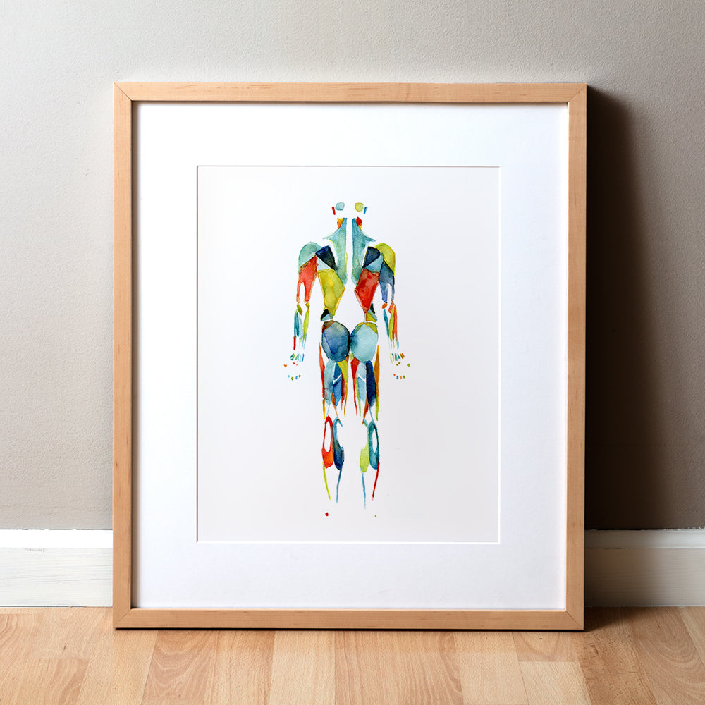 Framed colorful abstract anatomy art print of a posterior muscular system on a white wall