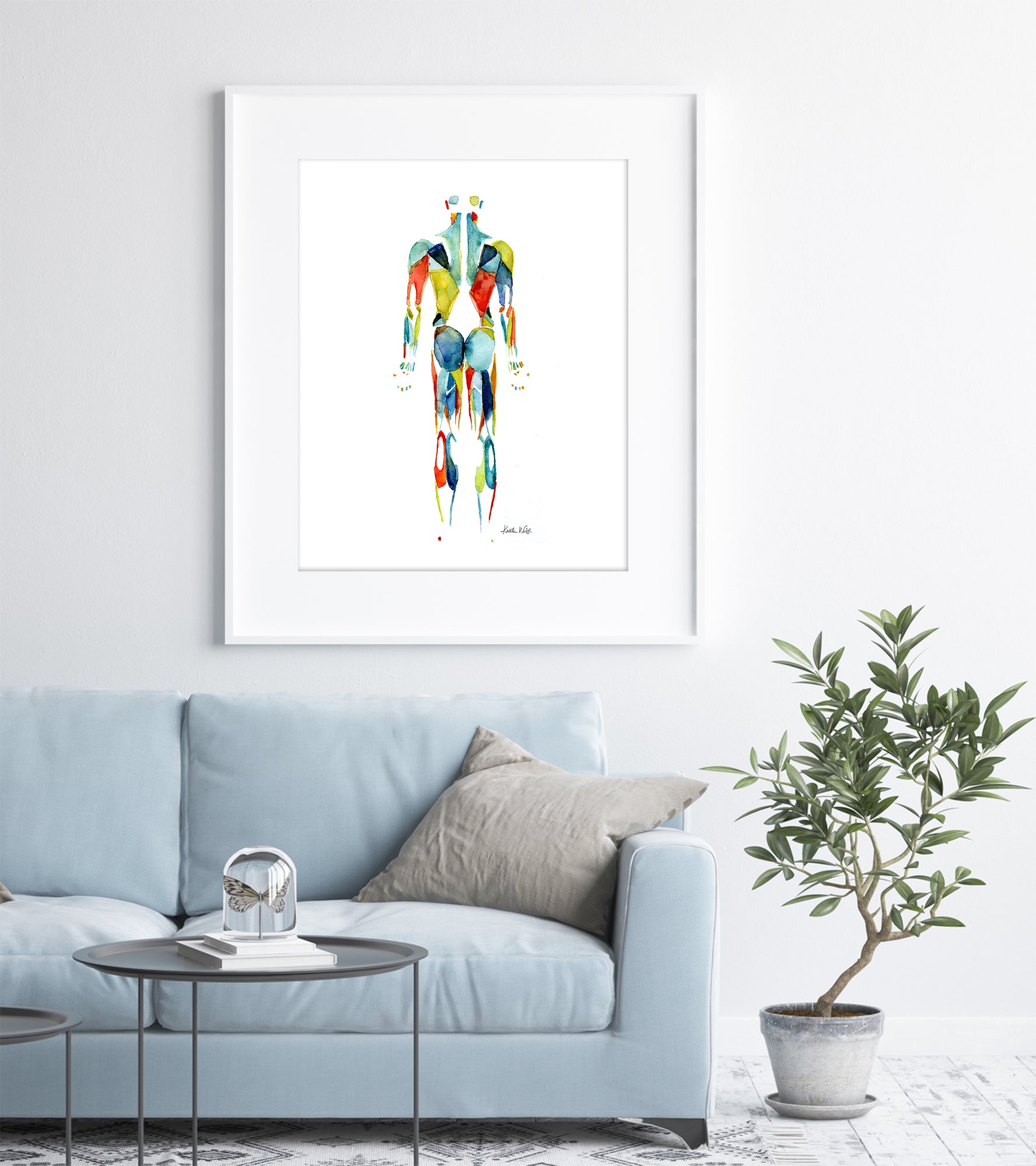 Muscular System in Red, Green and Blue Watercolor  Print - Lyon Road Art