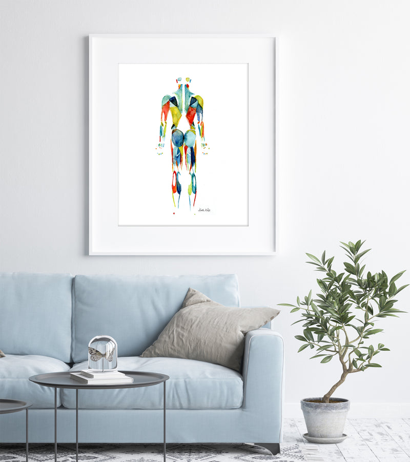 Muscular System in Red, Green and Blue Watercolor  Print - Lyon Road Art