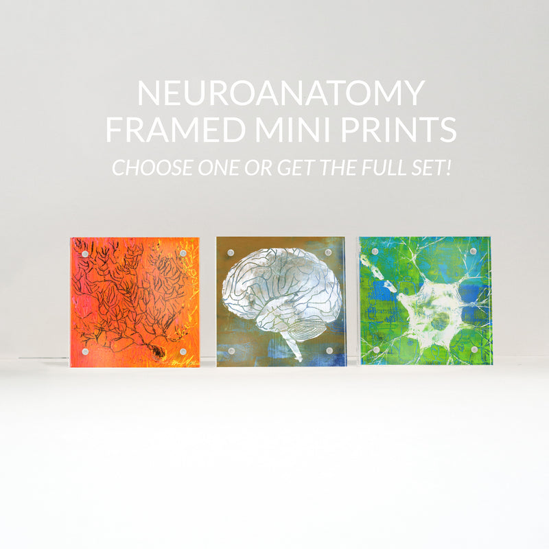 Neuroanatomy Desktop Anatomy Art - Acrylic Framed Mini Print - Lyon Road Art
