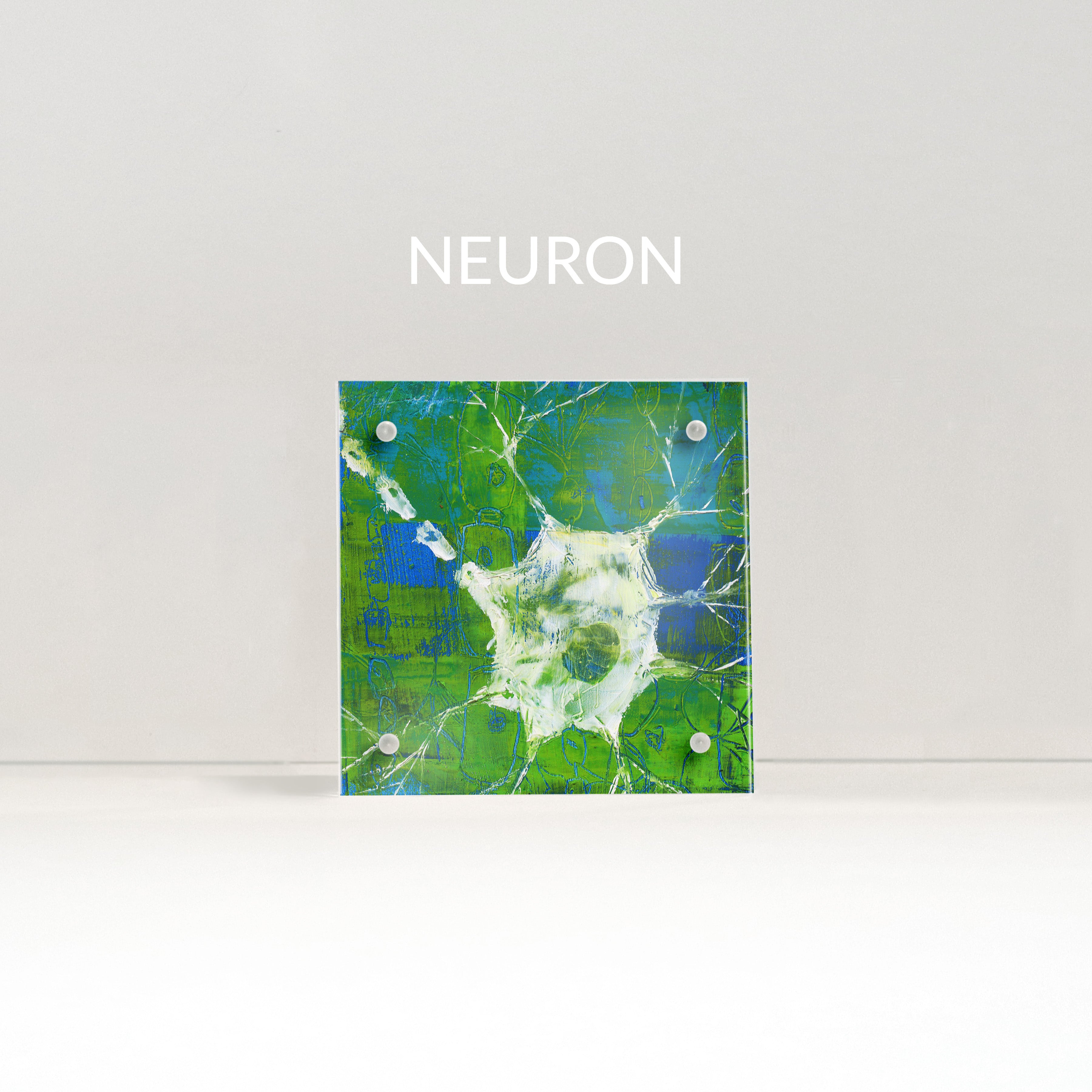 Neuroanatomy Desktop Anatomy Art - Acrylic Framed Mini Print - Lyon Road Art