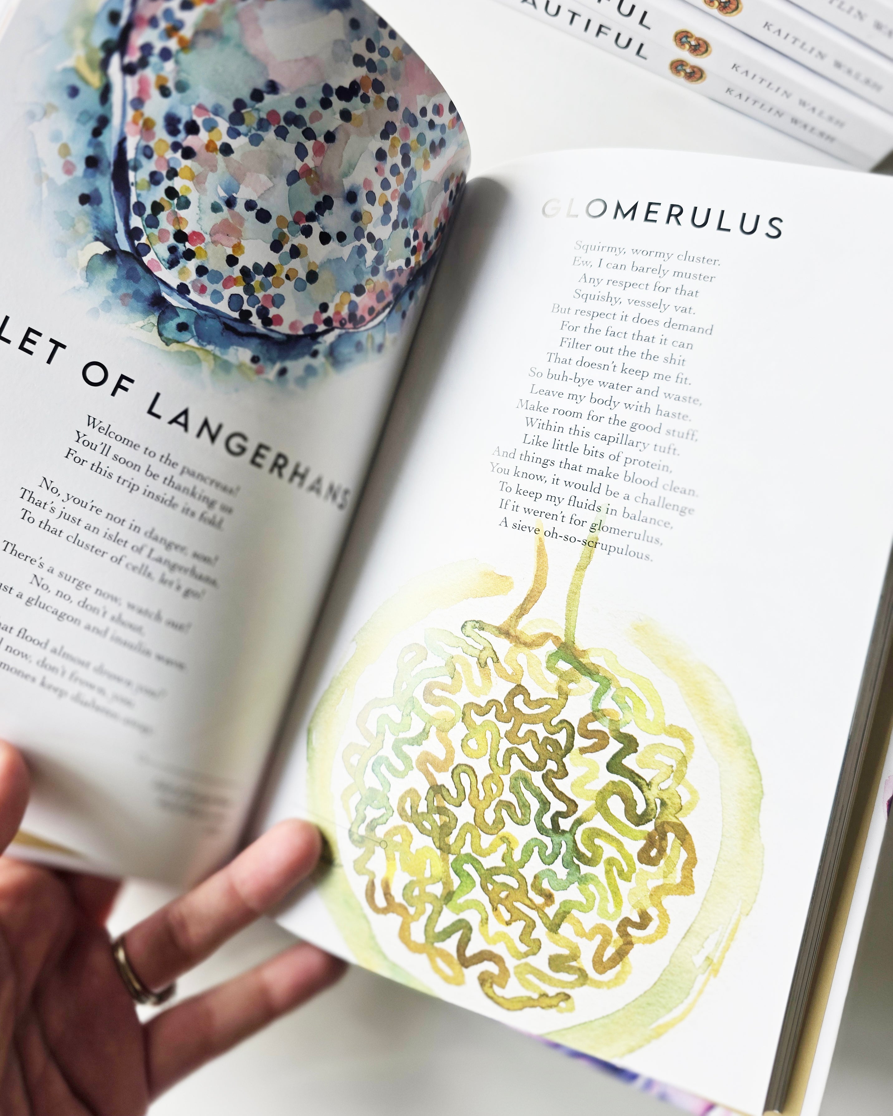 Anatomy is Beautiful: A Collection of Anatomical Art & Poetry Book - Lyon Road Art