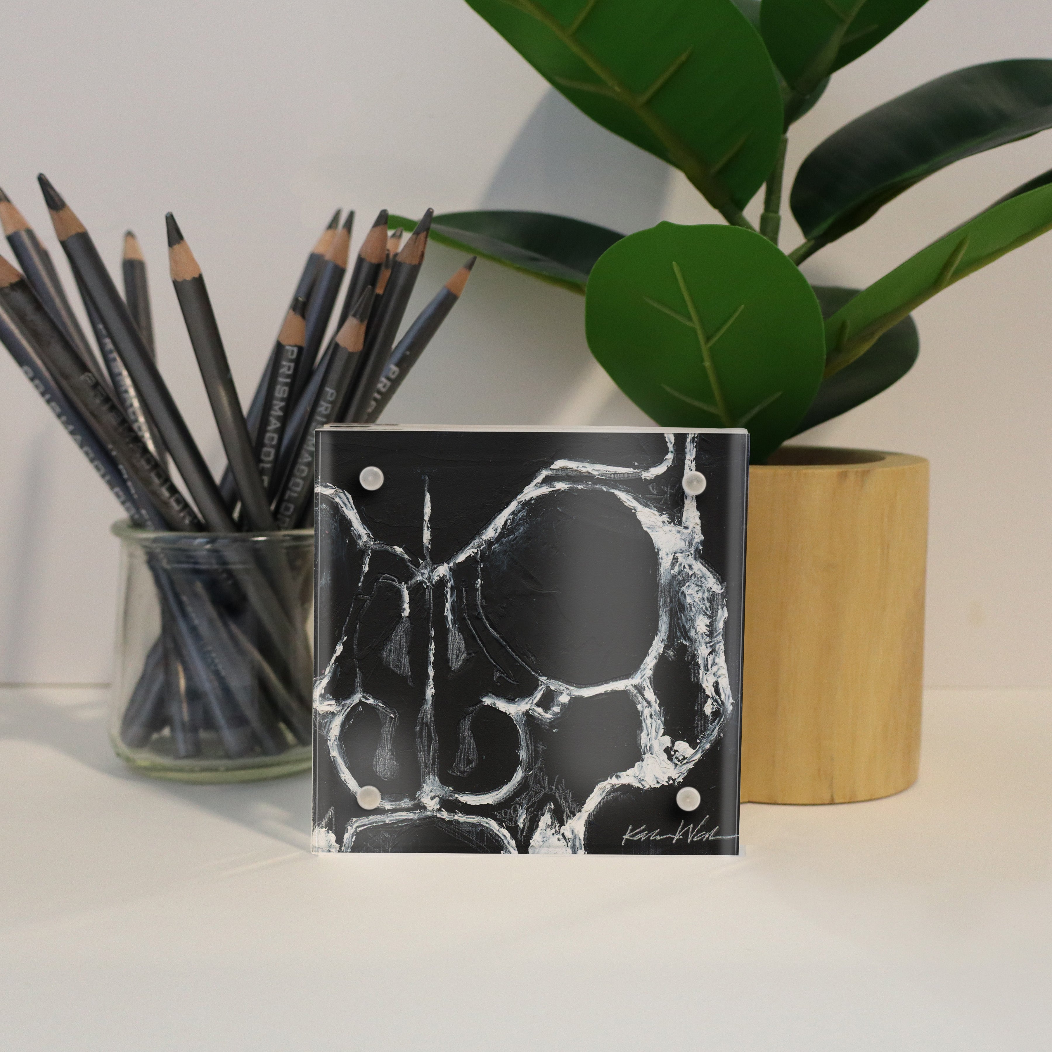 Skull Desktop Anatomy Art - Acrylic Framed Mini Print - Lyon Road Art