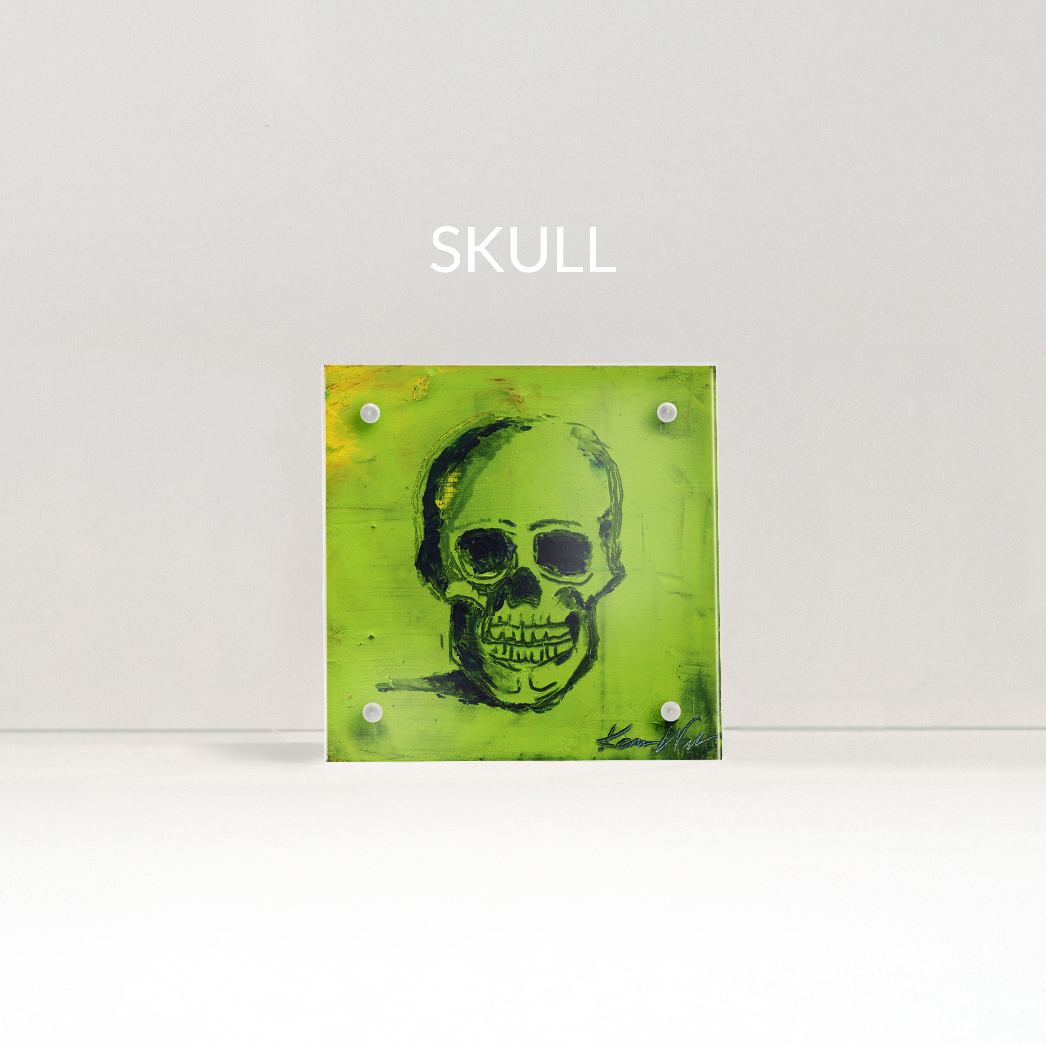Skull Desktop Anatomy Art - Acrylic Framed Mini Print - Lyon Road Art
