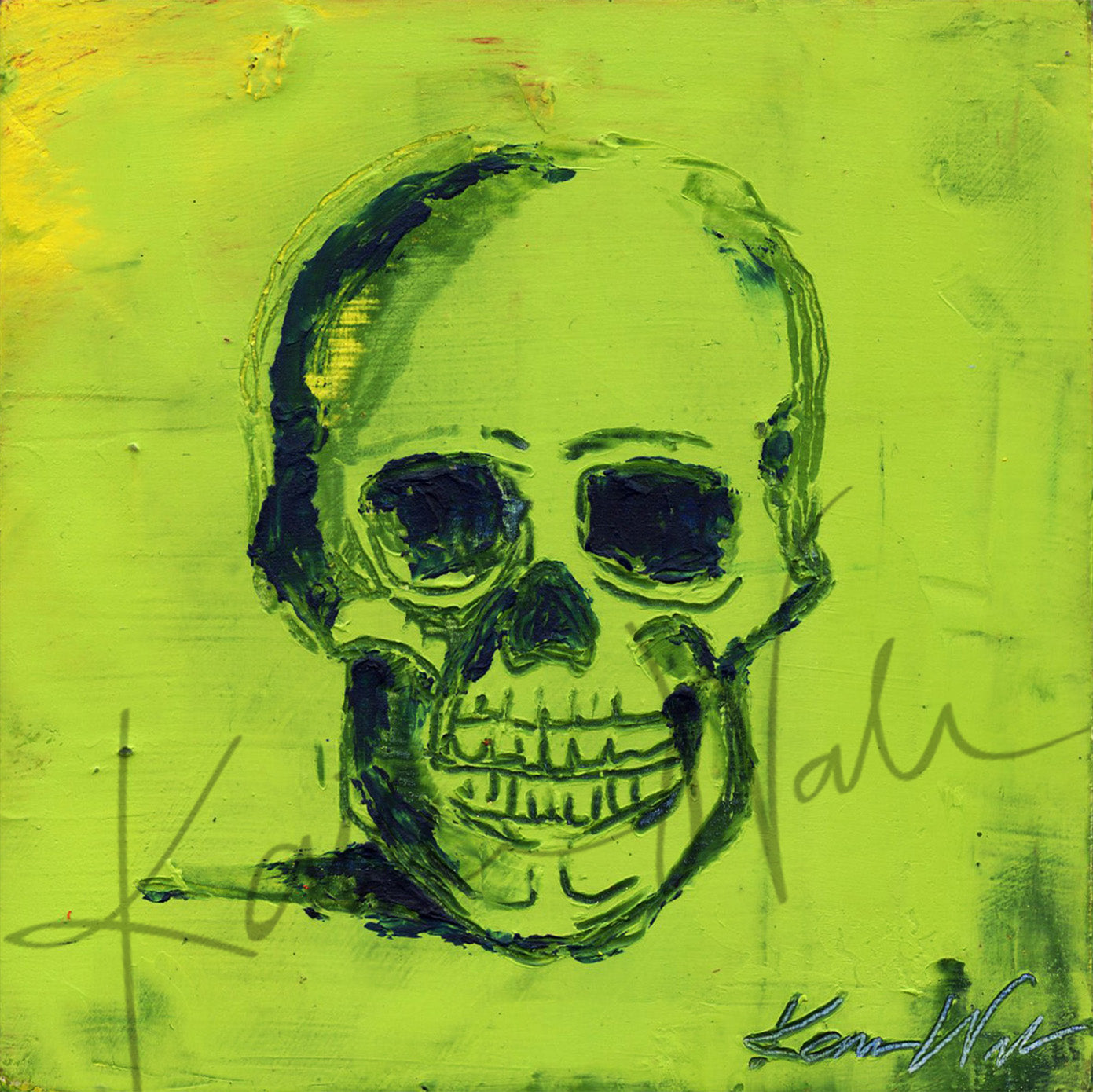 Skull Desktop Anatomy Art - Acrylic Framed Mini Print - Lyon Road Art