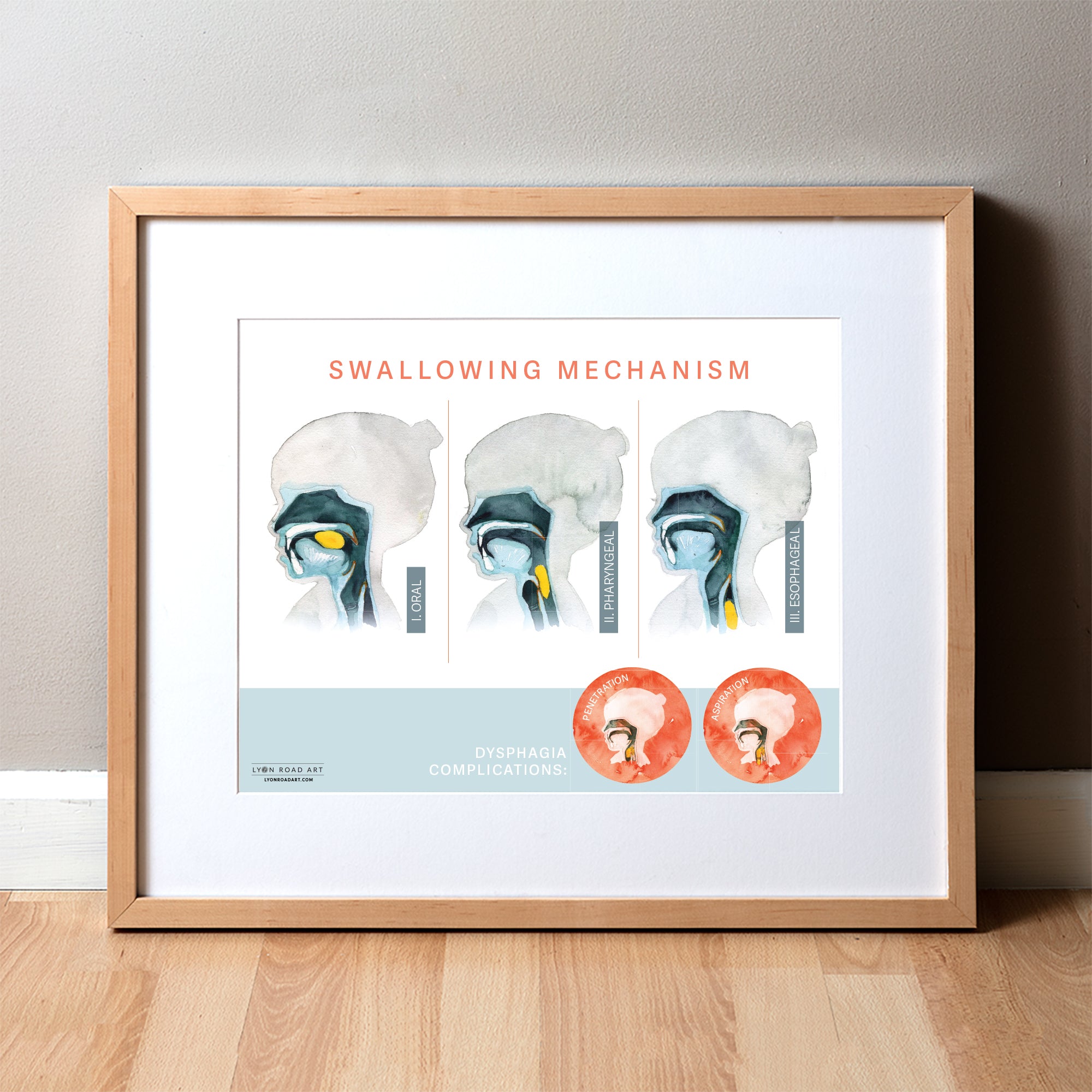 Framed educational poster on swallowing mechanism in a room setting