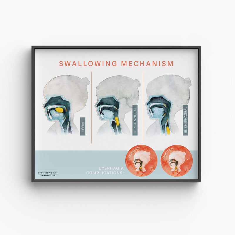 Framed diagram of the swallowing mechanism on a white background