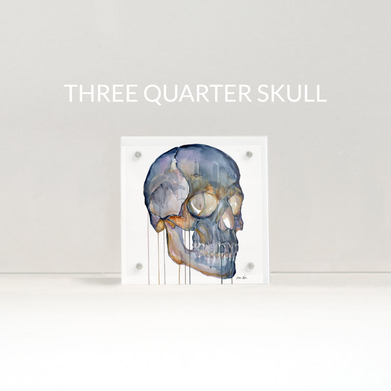 Skull Desktop Anatomy Art - Acrylic Framed Mini Print - Lyon Road Art