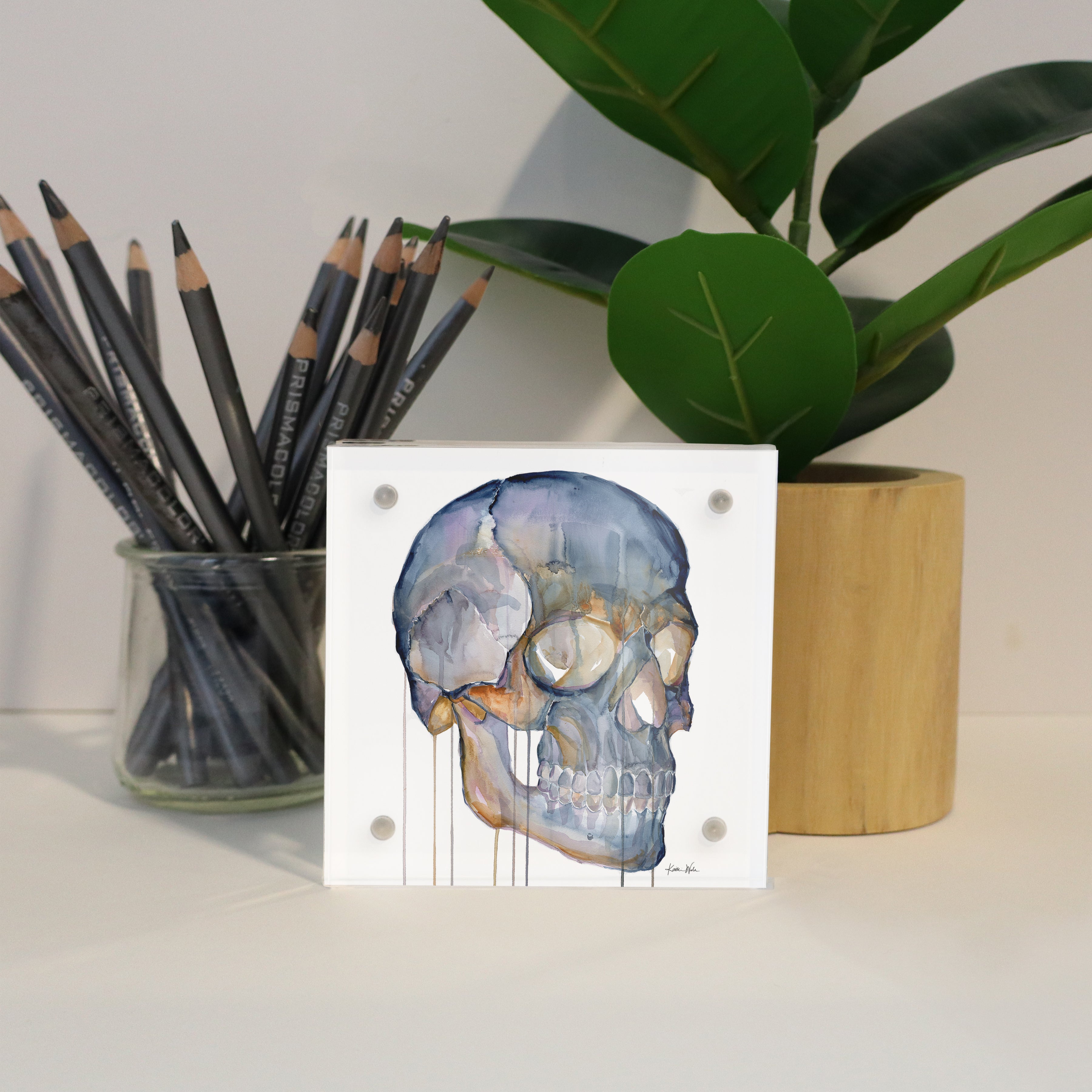 Skull Desktop Anatomy Art - Acrylic Framed Mini Print - Lyon Road Art