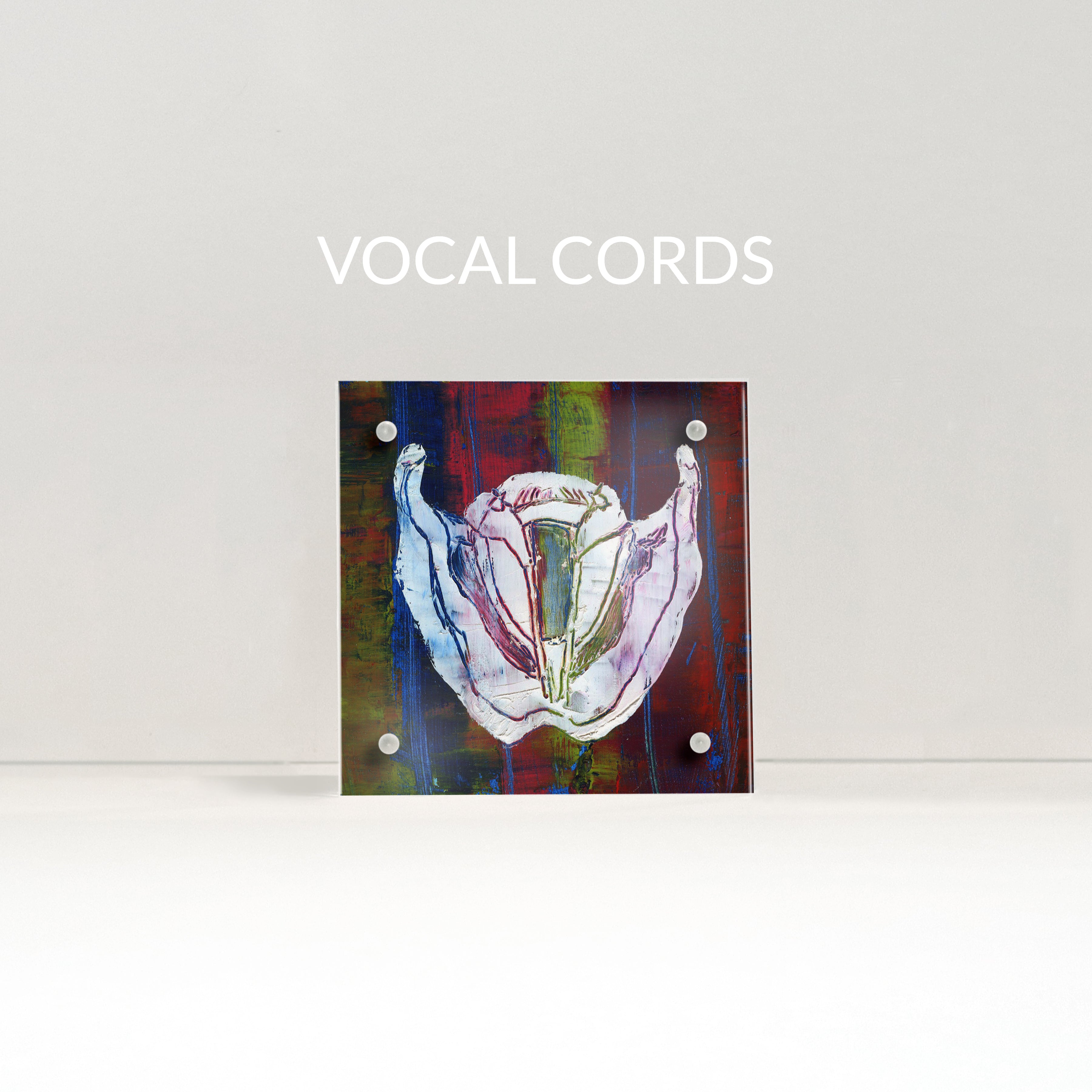 Speech Path / Ent Desktop Anatomy Art - Acrylic Framed Mini Print - Lyon Road Art